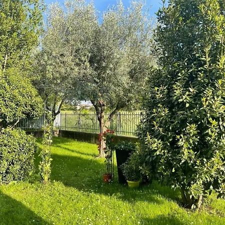 Dimora Di Charme Con Piscina E Giardino,vicina